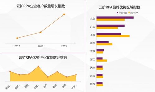 2025年中國RPA市場深度報告 競爭格局與發展趨勢解析