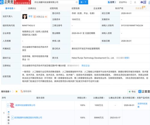 潤澤科技雙子公司落地，錨定AI基礎(chǔ)軟件開發(fā)新賽道